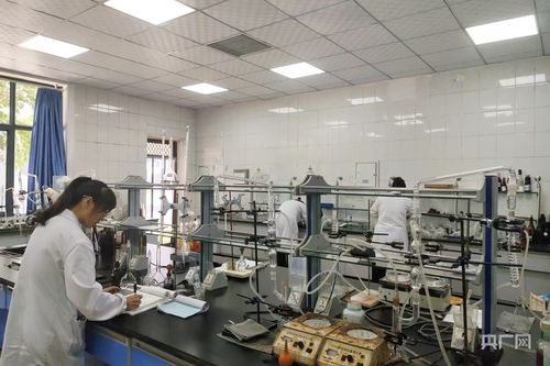 種釀?dòng)蝿?chuàng)新鏈 綻放絲路醇香新魅力